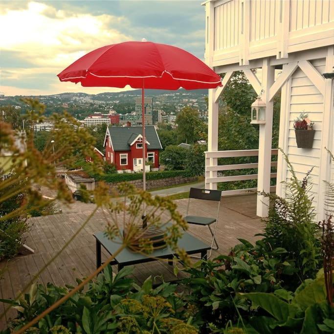 Adorable 1-bedroom With A Fantastic View - Free Parking *